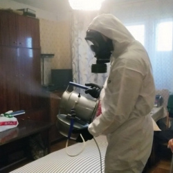 Дезинфекция от клопов в Лениногорске