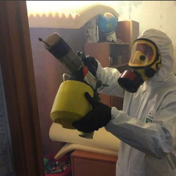 Уничтожение клопов в квартире. Лениногорск